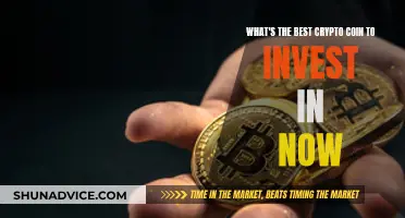 The Best Crypto Coin to Invest in Now