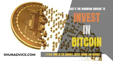 How Little Can You Invest in Bitcoin?