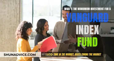 Vanguard Index Fund: Minimum Investment Requirements and Opportunities