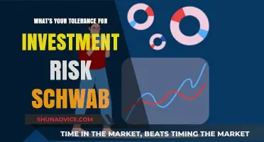 Navigating Risk: Understanding Your Tolerance for Investment Challenges with Schwab