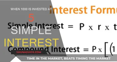 Unveiling the Power of Simple Interest: A Thousand-Dollar Investment