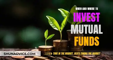 Mutual Fund Investment: Timing and Location Strategies