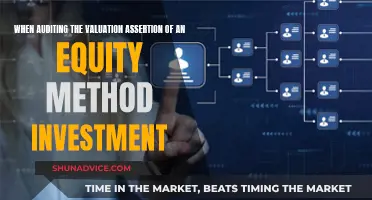 Equity Method Investment: Auditing Valuation Assertion Challenges