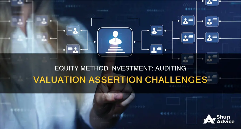 when auditing the valuation assertion of an equity method investment