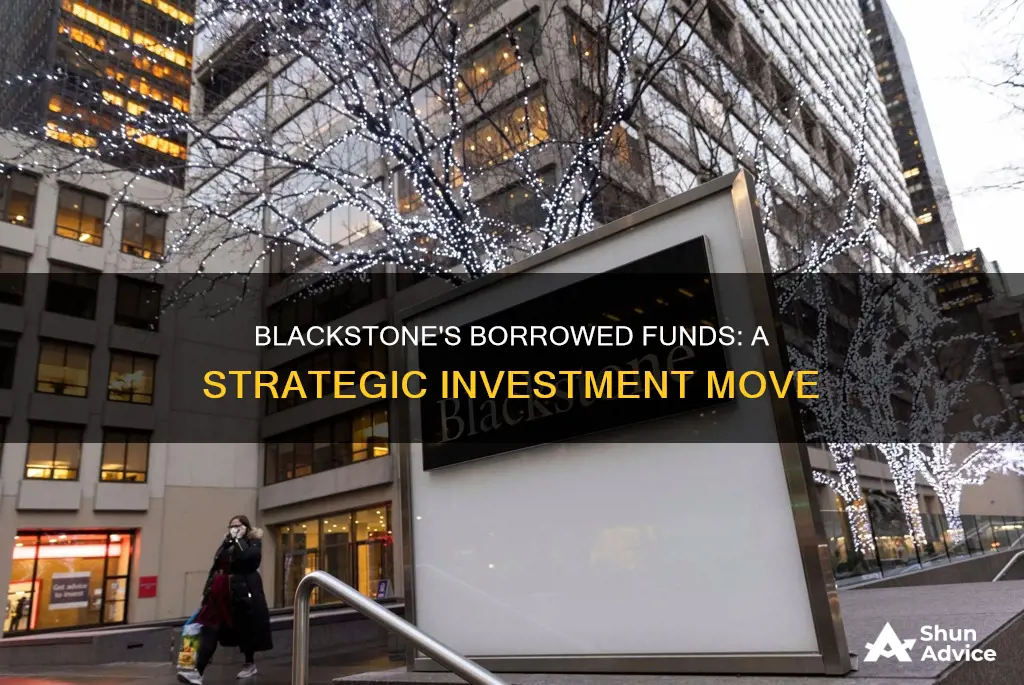 when blackstone investment company borrowed funds