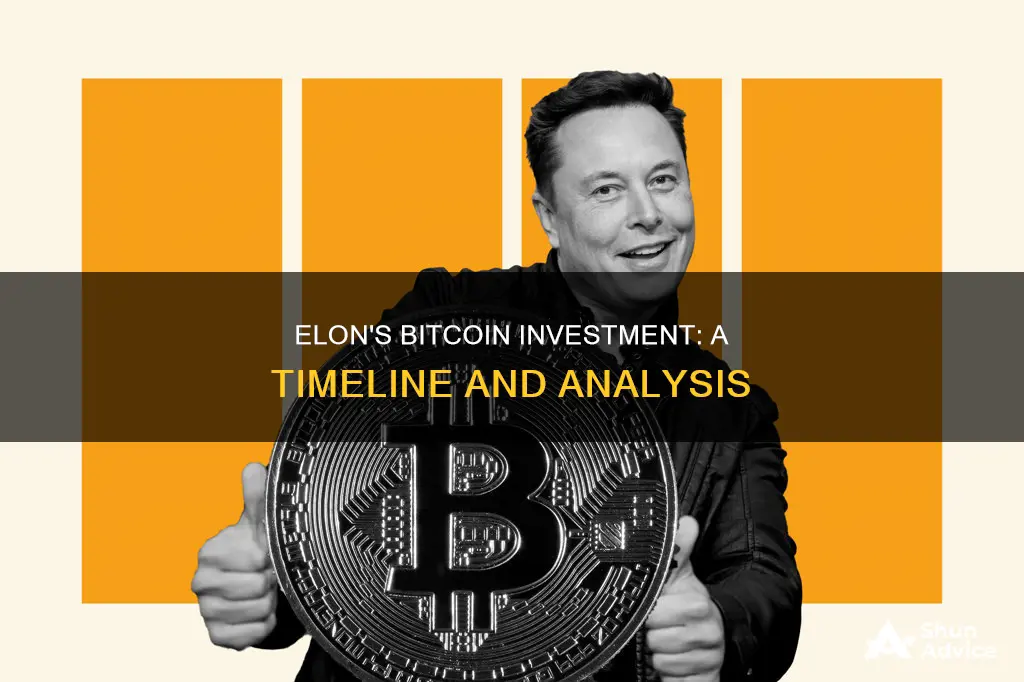 when did elon invest in bitcoin