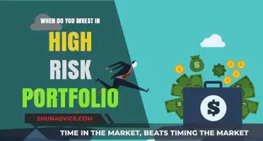 Navigating High-Risk Portfolios: When to Take the Plunge