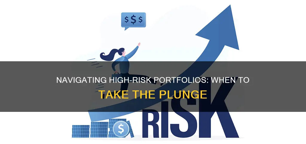 when do you invest in high risk portfolio