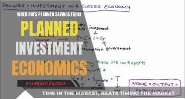 Savings, Investments, and Economics: Understanding the Equation