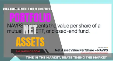 Portfolio Net Assets: A Concern for Investors?