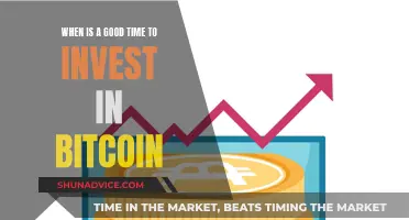 Bitcoin Investment: Timing the Market Entry