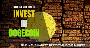 Dogecoin Investment: Timing the Market for Maximum Returns