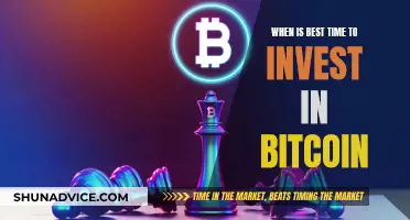 Bitcoin Investment: Timing the Market Entry