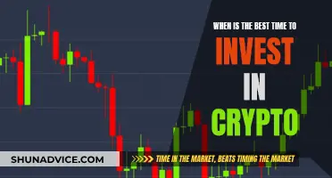 The Crypto Investment Conundrum: Timing is Everything