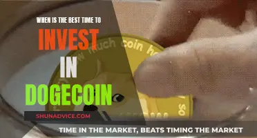 Dogecoin Investment: Timing the Market for Maximum Returns