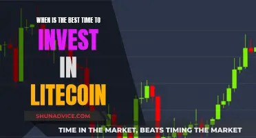 Litecoin Investment: Best Timing Strategies and Opportunities