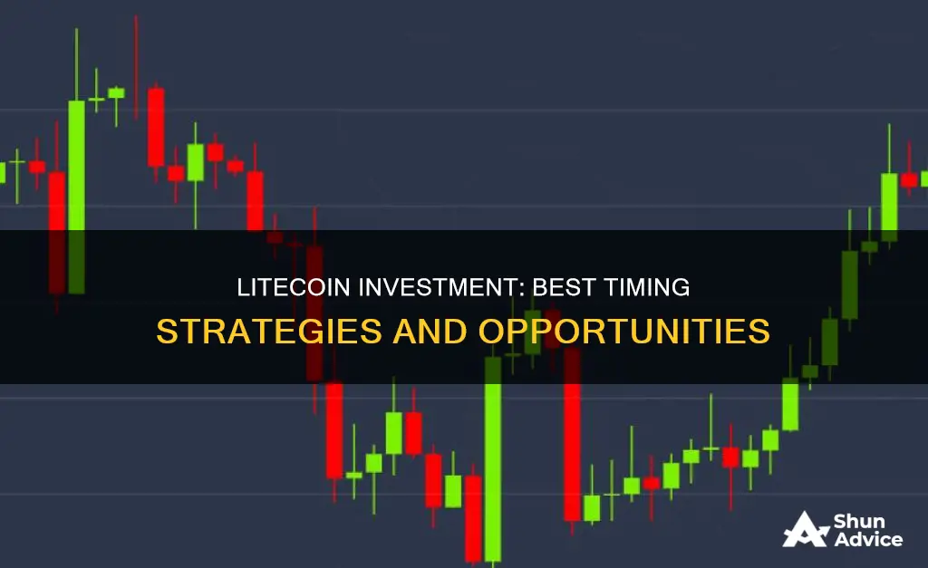 when is the best time to invest in litecoin