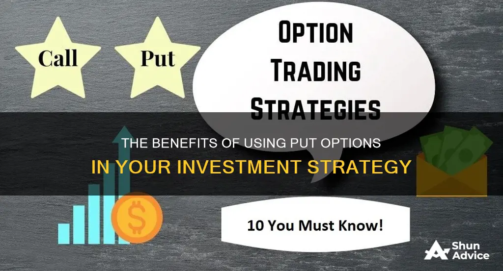 when should a put be used when investing