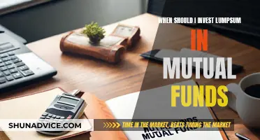 Lumpsum Mutual Fund Investment: Timing for Maximum Returns