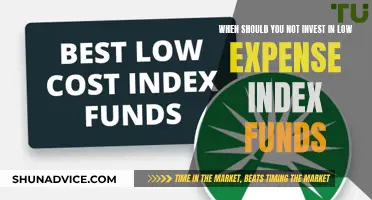 Low-Cost Index Funds: When to Steer Clear