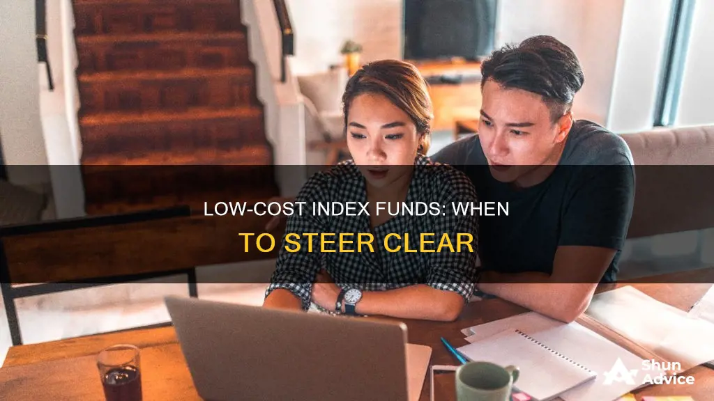 when should you not invest in low expense index funds