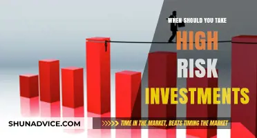 Understanding High-Risk Investments: When to Take the Plunge