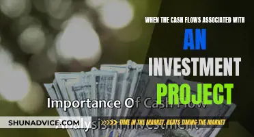 Understanding Investment Project Cash Flows: A Comprehensive Guide