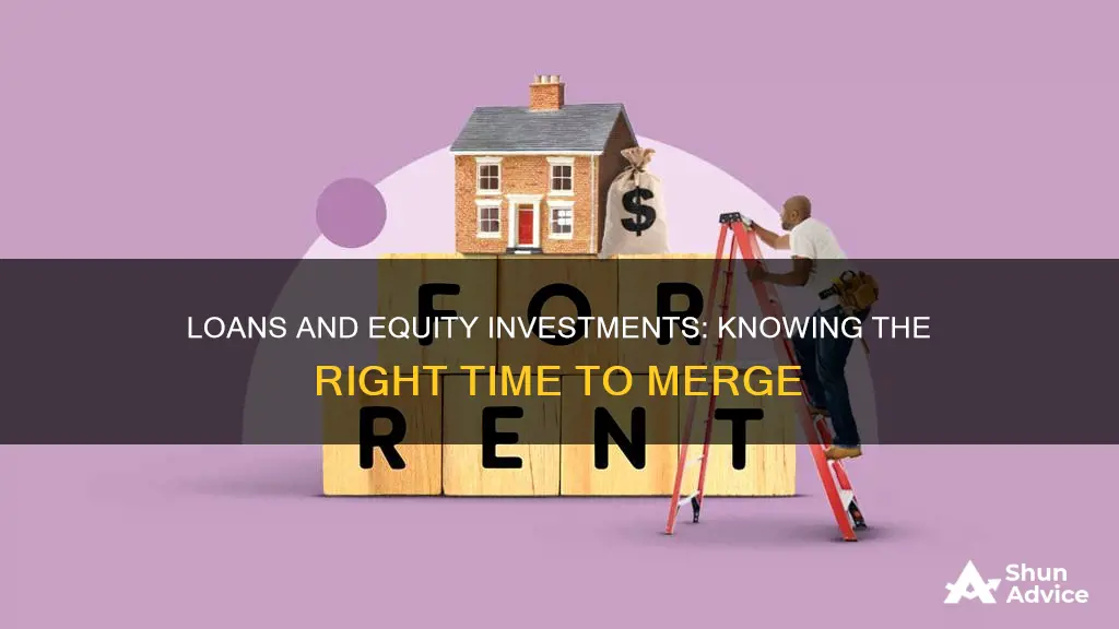 when to include loans in investment in equity