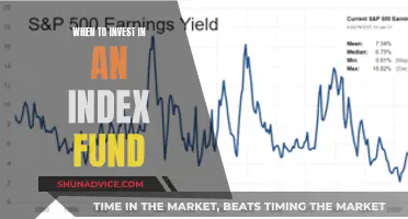 Index Funds: When to Invest for Maximum Returns