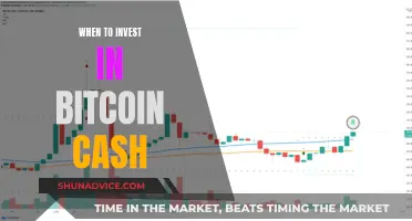 The Best Time to Invest in Bitcoin Cash