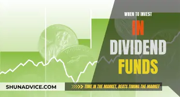 Dividend Funds: When to Invest for Maximum Returns