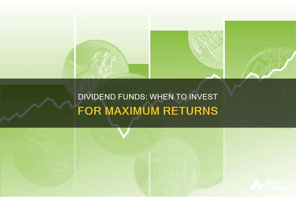 when to invest in dividend funds