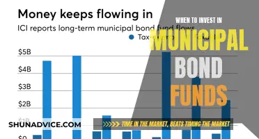 Municipal Bond Funds: When to Invest for Maximum Returns