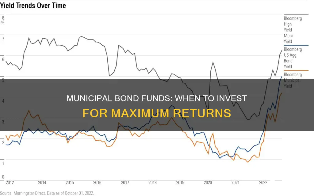 when to invest in municipal bond funds