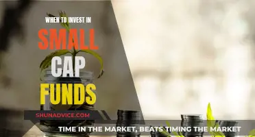 Small-Cap Funds: When to Invest and Why