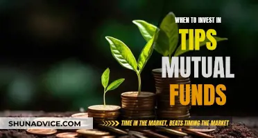 Tips Mutual Funds: When to Invest for Maximum Returns