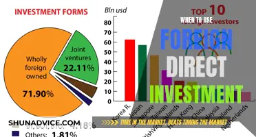 Maximizing Benefits: When to Invest Abroad with FDI