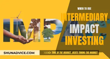 Impact Investing: Intermediary Strategies for Maximum Returns