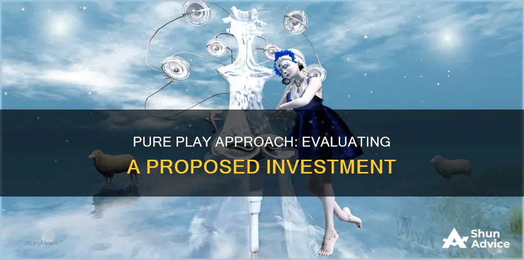 when using the pure play approach for a proposed investment