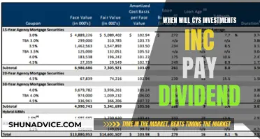 CYS Investments Inc: Dividend Payment Expectations