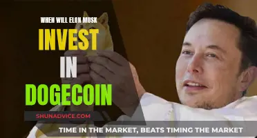 Elon Musk's Dogecoin Dilemma: When Will the Billionaire Back the Meme Coin?