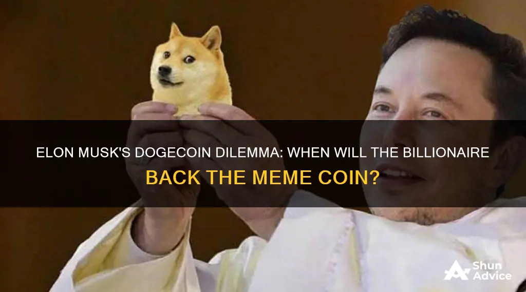 when will elon musk invest in dogecoin