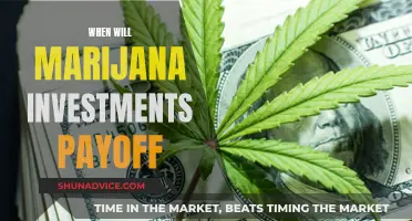 Weed and Wait: The Long Game of Marijuana Investments