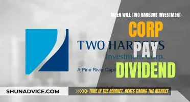 Two Harbors Investment Corp: Dividend Payment Date and Expectations