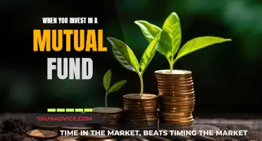 Mutual Fund Investment: Strategies, Risks, and Rewards