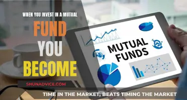 Mutual Fund Investors: Owners of a Diverse Portfolio