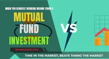 Mutual Fund Dividend Reinvestment: Powering Compounding Returns