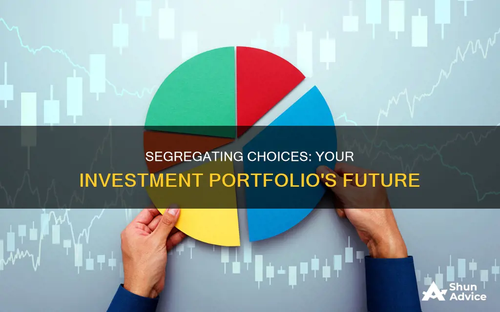 when you segregate choices your investment portfolio may