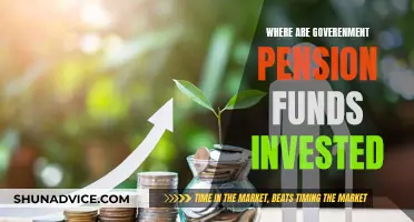 Pension Funds: Where Are Government Investments Directed?