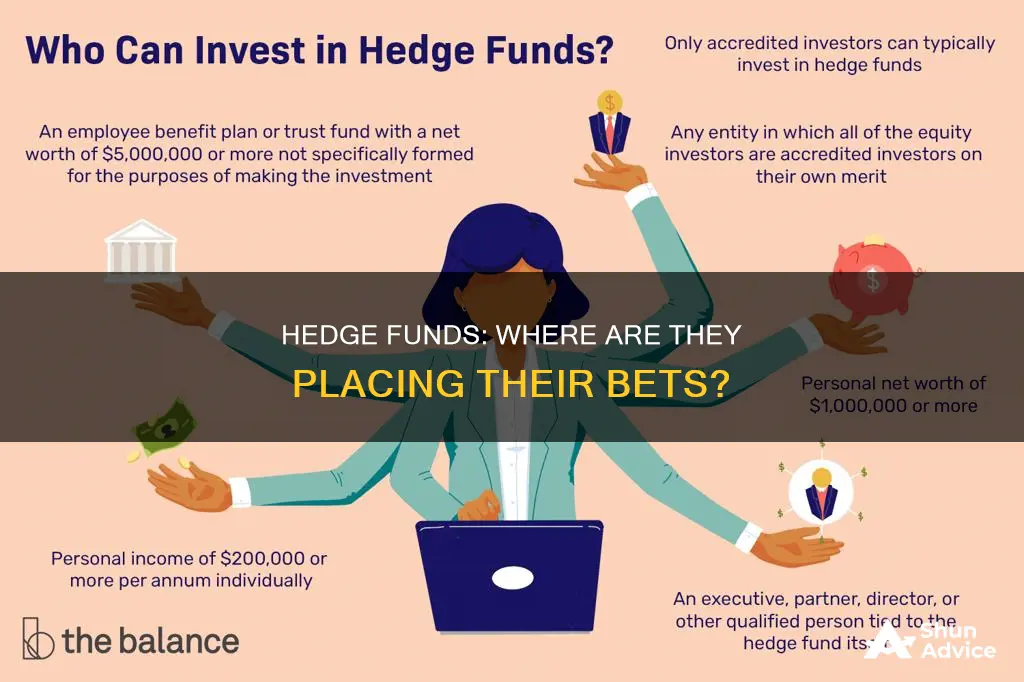 where are hedge funds investing